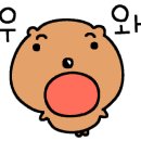 작은대사리 이미지