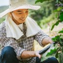 진도농장 이미지