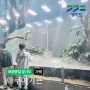 조이힐펜션 | 가평 아이랑 가볼만한곳 아쿠아가든 카페 먹이주기 체험까지