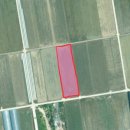 벽진농장 이미지