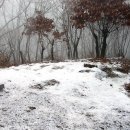 강동-천호-1146 이미지