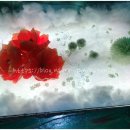 오케이(OK)무인텔 이미지