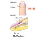 앤드네일 - 마포구 | 앤드네일