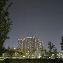 고덕중앙공인중개사사무소 이미지