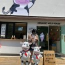 안흥목장 이미지