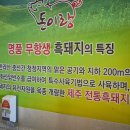 명품토종흑돼지 네이버블로그
