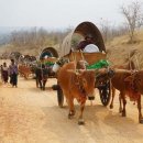 소 순례 외 이미지