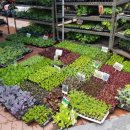 금산농약사 이미지