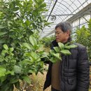 김종순농장 이미지