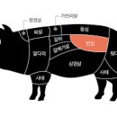 워너비핏 이미지