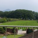 도영공인중개사사무소 이미지