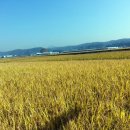 영걸농장 이미지