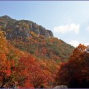 주왕산주유소 이미지