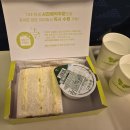 제이유니온 | 김해공항 &amp; 진에어 밤 비행기 (필리핀 세부)