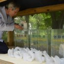 호국의 불 이미지