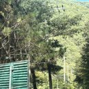 용운민박 이미지