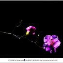 작은무대 이미지