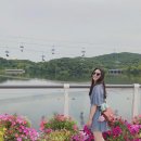 광장로4번길 | 서울대공원 스카이리프트 타고 동물원 구경 후기