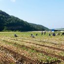 가회면사무소 이미지