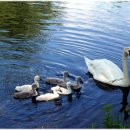 똘똘이네 이미지