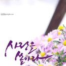 2월 셋째주일 설교 2 "상한 심령이여!(Broken spirit)" 이미지