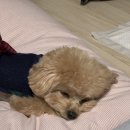 베스트유치원 이미지