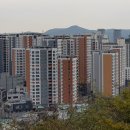 힐스약국 이미지