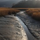 벌교생태공원 운동장 이미지
