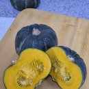 노지하우스 이미지