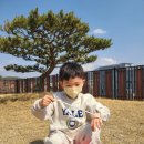 예일키즈어린이집 이미지