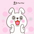 꽃무지야생화촌