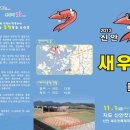 신안새우젓 이미지