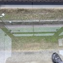 Camp 1950 | 🇰🇷 파주 임진각 평화 곤돌라 &amp; 캠프그리브스 투어 — DMZ 감성 가득한 하루