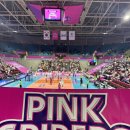 장충떡볶기 | 여자배구 장충체육관, 삼산체육관 직관 후기 🏐