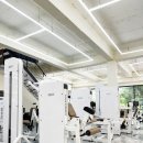 맥시멈짐 이미지