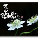 제일인사 이미지