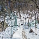 유 농원 이미지