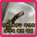 니가왜거기서나와 | 인천 계양구 작전동 싱크대 배관 막힘 - 니가 왜 거기서 나와?