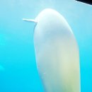 씨월드 | 거제아이랑가볼만한곳 《거제씨월드》방문후기