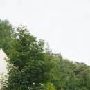 꿈꾸는새재 이미지