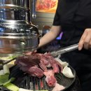 다루마 - 강서구 마곡중앙5로1길 21 | 천안 불당동 양갈비맛집 다루마 방문후기 징기스갈비