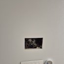 포스코더샾 이미지