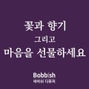 바비쉬