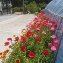 데미샘계곡펜션 이미지