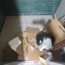 악쓰는 하마 이미지