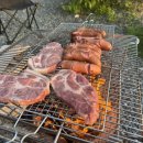 스테이배 이미지