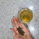 바이오틱톡 슬리밍_다이어트,가르시니아