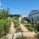 삼영농장 이미지