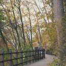 하늘테라스관광펜션 이미지