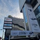 에덴커텐 이미지